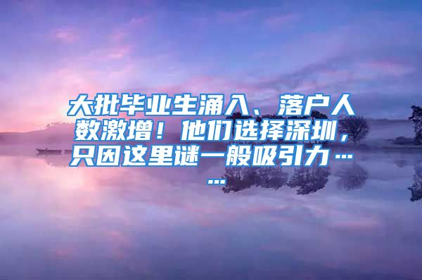 大批畢業(yè)生涌入、落戶人數(shù)激增！他們選擇深圳，只因這里謎一般吸引力……