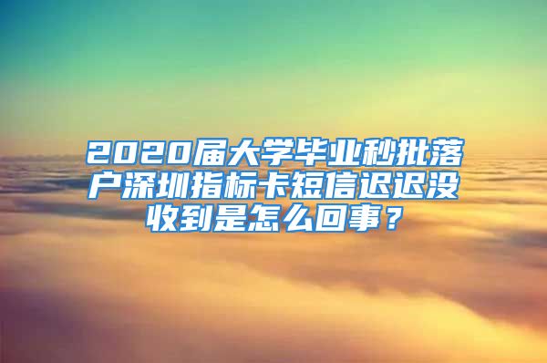 2020屆大學(xué)畢業(yè)秒批落戶深圳指標(biāo)卡短信遲遲沒收到是怎么回事？