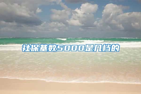 社?；鶖?shù)5000是幾檔的