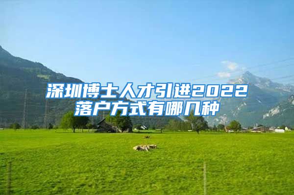 深圳博士人才引進(jìn)2022落戶方式有哪幾種