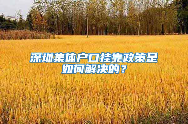 深圳集體戶口掛靠政策是如何解決的？