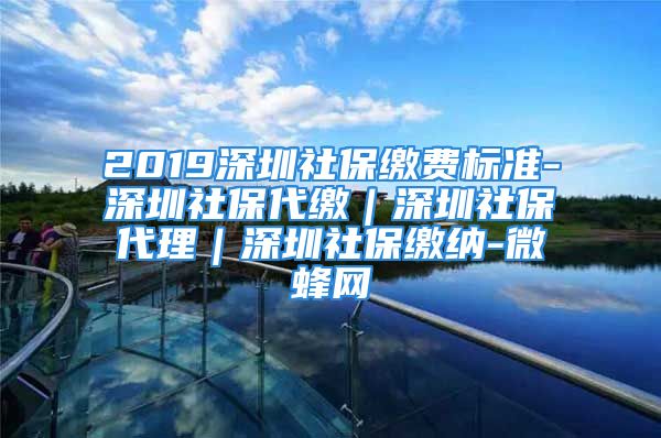 2019深圳社保繳費(fèi)標(biāo)準(zhǔn)-深圳社保代繳｜深圳社保代理｜深圳社保繳納-微蜂網(wǎng)