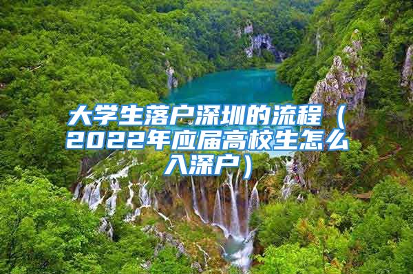 大學(xué)生落戶深圳的流程（2022年應(yīng)屆高校生怎么入深戶）