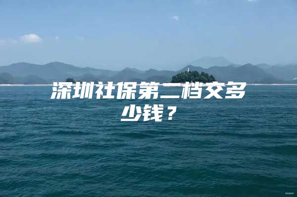 深圳社保第二檔交多少錢？