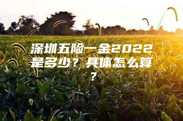 深圳五險一金2022是多少？具體怎么算？