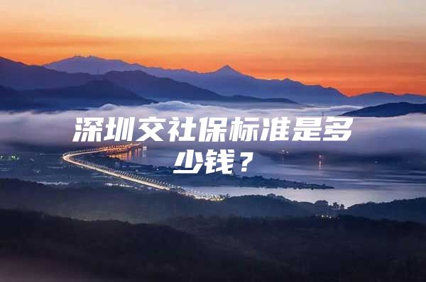 深圳交社保標準是多少錢？