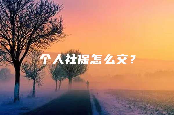 個人社保怎么交？