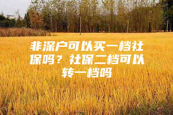 非深戶可以買一檔社保嗎？社保二檔可以轉(zhuǎn)一檔嗎