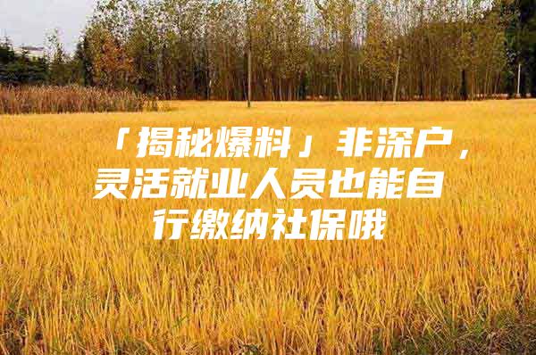 「揭秘爆料」非深戶，靈活就業(yè)人員也能自行繳納社保哦