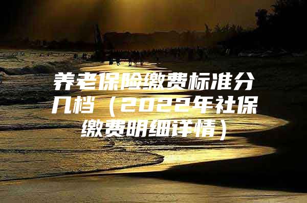 養(yǎng)老保險繳費(fèi)標(biāo)準(zhǔn)分幾檔（2022年社保繳費(fèi)明細(xì)詳情）