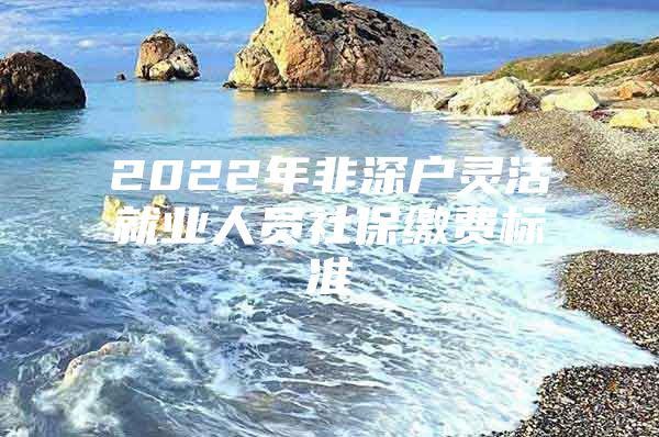 2022年非深戶靈活就業(yè)人員社保繳費(fèi)標(biāo)準(zhǔn)