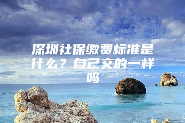 深圳社保繳費(fèi)標(biāo)準(zhǔn)是什么？自己交的一樣嗎