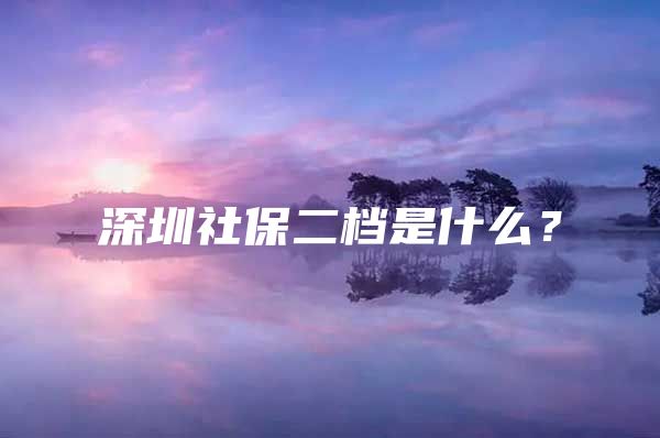 深圳社保二檔是什么？