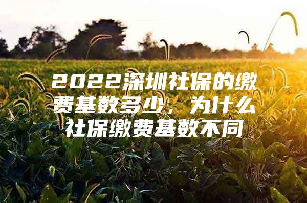 2022深圳社保的繳費(fèi)基數(shù)多少，為什么社保繳費(fèi)基數(shù)不同