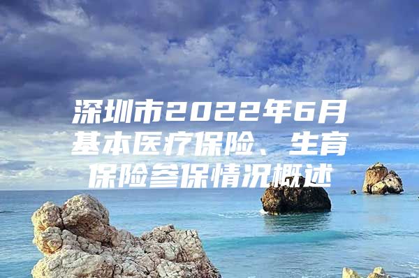 深圳市2022年6月基本醫(yī)療保險、生育保險參保情況概述