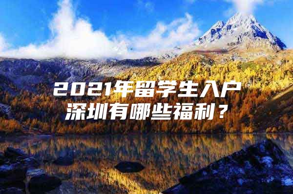 2021年留學生入戶深圳有哪些福利？