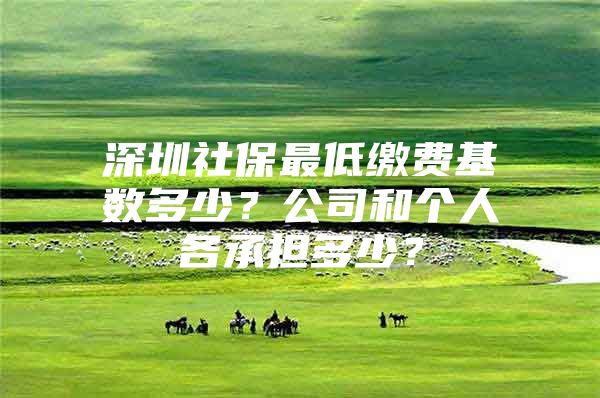 深圳社保最低繳費基數(shù)多少？公司和個人各承擔(dān)多少？