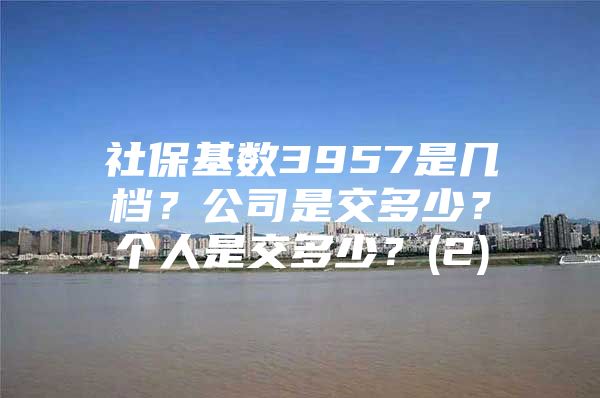 社?；鶖?shù)3957是幾檔？公司是交多少？個(gè)人是交多少？(2)