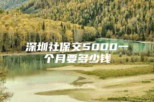 深圳社保交5000一個月要多少錢