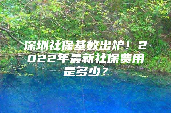 深圳社?；鶖?shù)出爐！2022年最新社保費(fèi)用是多少？