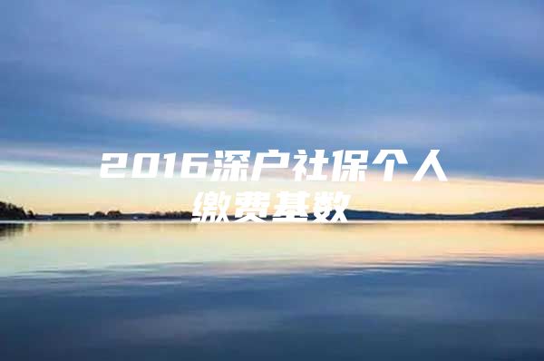 2016深戶社保個人繳費基數(shù)