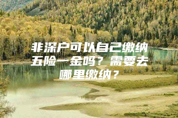 非深戶(hù)可以自己繳納五險(xiǎn)一金嗎？需要去哪里繳納？