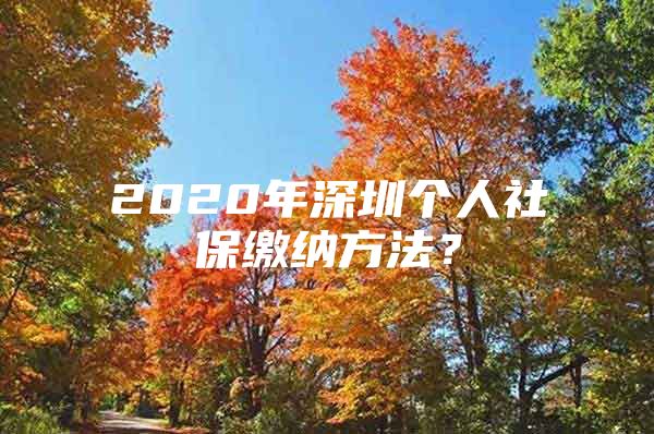 2020年深圳個(gè)人社保繳納方法？