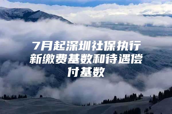 7月起深圳社保執(zhí)行新繳費(fèi)基數(shù)和待遇償付基數(shù)