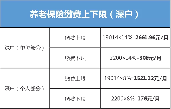 深圳社保各類繳費(fèi)明細(xì)詳情