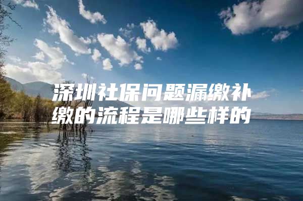 深圳社保問題漏繳補繳的流程是哪些樣的