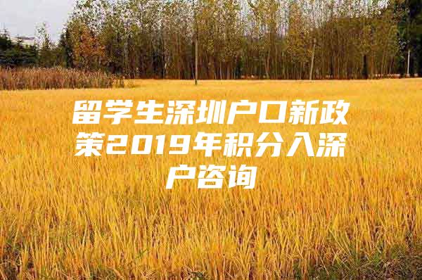 留學(xué)生深圳戶口新政策2019年積分入深戶咨詢