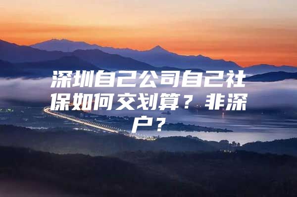 深圳自己公司自己社保如何交劃算？非深戶？