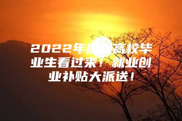 2022年應(yīng)屆高校畢業(yè)生看過來！就業(yè)創(chuàng)業(yè)補(bǔ)貼大派送！