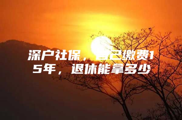 深戶社保，自己繳費15年，退休能拿多少