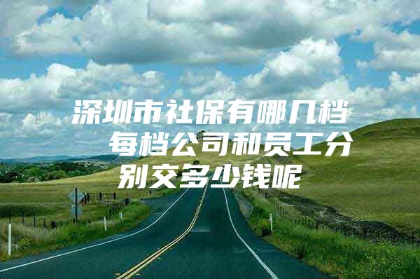 深圳市社保有哪幾檔  每檔公司和員工分別交多少錢呢