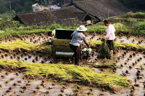 2022年應(yīng)屆生入戶深圳中介辦理深戶怎么收費