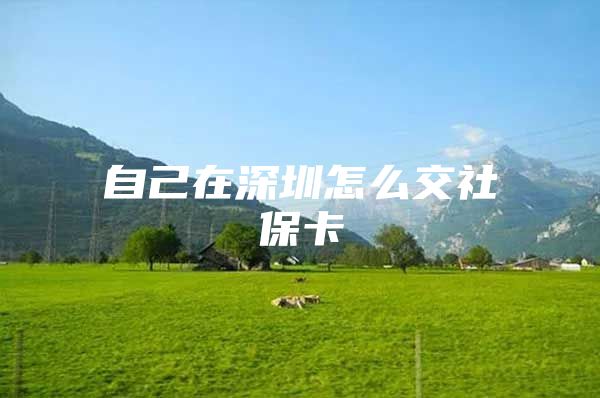 自己在深圳怎么交社?？?/></p>
									<p>　　保險(xiǎn)小編幫您解答，更多疑問可在線答疑。</p>
<p>　　答：只有深圳戶籍人口方能個(gè)人交納保險(xiǎn)；深圳目前還不允許外地戶口個(gè)人交社保的規(guī)定，如果你是外地戶口，那么你可以委托一個(gè)企業(yè)替你申請社保，申請成功后以后就可以自已來交錢，或者你每個(gè)月給該企業(yè)匯款，企業(yè)幫你交~你現(xiàn)在可以向你所在單位申請要求單位交社保，不交社保的單位都是違法的...你可以到勞動(dòng)和社會保障局去告他們。</p>
<p>　　如果你是深圳戶口可以自己繳納社保費(fèi)用。只要帶上你的戶口本、身份證、原有的社保卡到你的戶口所在地的社保局辦理就可以了。社保局的工作人員會幫助您正確操作。以最低工資計(jì)算社保費(fèi)的話，每月為500多元。但是如果你不是深圳戶口，就必須要找個(gè)正規(guī)的公司掛靠才行，自己是不能繳納社保費(fèi)用的。</p>
<p>　　必備材料</p>
<p>　　本人的身份證原件和復(fù)印件；</p>
<p>　　戶口簿（戶口卡）的原件及復(fù)印件；</p>
<p>　　個(gè)人活期儲蓄存折原件及復(fù)印件。原件只需要查驗(yàn)即可，必須在深圳建設(shè)銀行、中國銀行、農(nóng)業(yè)銀行、工商銀行之一開立賬戶；</p>
<p>　　填報(bào)3份材料并到開戶銀行蓋章：深圳市社會保險(xiǎn)個(gè)人繳費(fèi)申報(bào)表、委托銀行代收社會保險(xiǎn)費(fèi)合同書、委托銀行代收社會保險(xiǎn)合同書；</p>
<p>　　如果是首次參保的話，如果屬于招調(diào)入深圳的員工還須提供市（區(qū)）有調(diào)入權(quán)限部門批準(zhǔn)的調(diào)令或畢業(yè)生分配介紹信或招工審批表的復(fù)印件（驗(yàn)原件）。</p>
									<div   id=