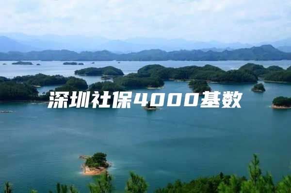 深圳社保4000基數(shù)