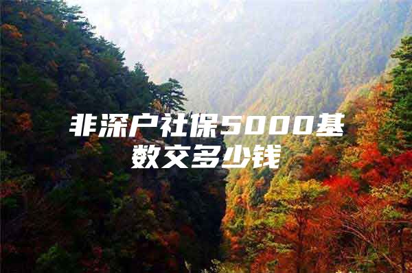 非深戶社保5000基數(shù)交多少錢