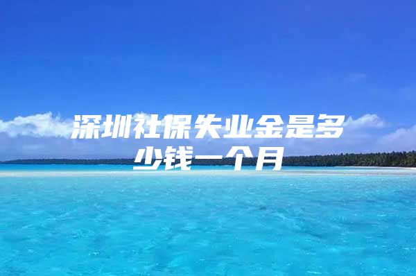 深圳社保失業(yè)金是多少錢一個(gè)月