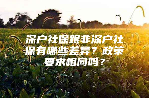 深戶社保跟非深戶社保有哪些差異？政策要求相同嗎？