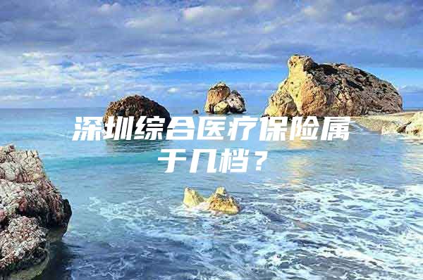 深圳綜合醫(yī)療保險(xiǎn)屬于幾檔？