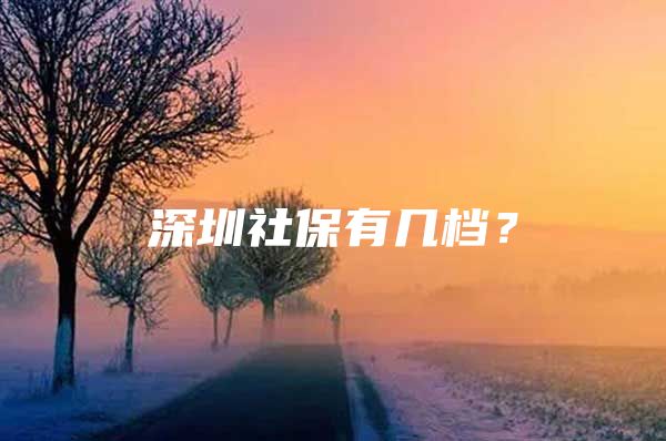 深圳社保有幾檔？