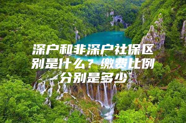 深戶和非深戶社保區(qū)別是什么？繳費(fèi)比例分別是多少