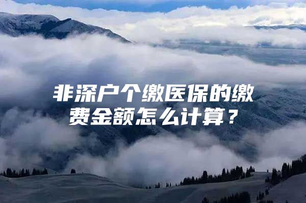 非深戶個繳醫(yī)保的繳費金額怎么計算？