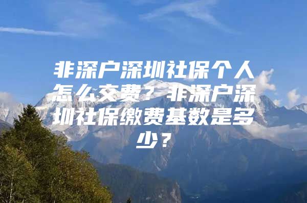 非深戶(hù)深圳社保個(gè)人怎么交費(fèi)？非深戶(hù)深圳社保繳費(fèi)基數(shù)是多少？