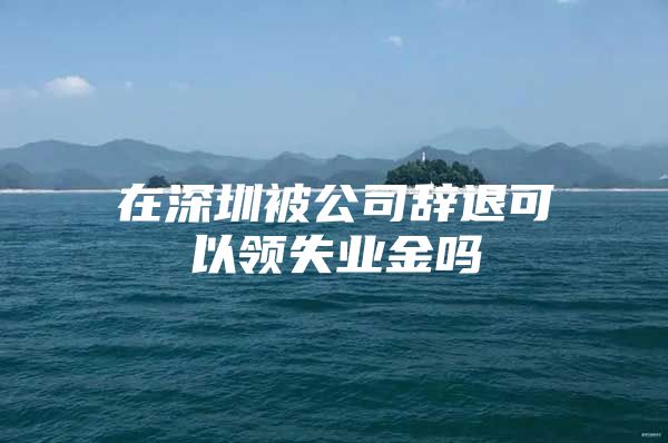 在深圳被公司辭退可以領(lǐng)失業(yè)金嗎