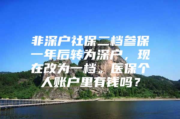 非深戶社保二檔參保一年后轉(zhuǎn)為深戶，現(xiàn)在改為一檔。醫(yī)保個(gè)人賬戶里有錢嗎？