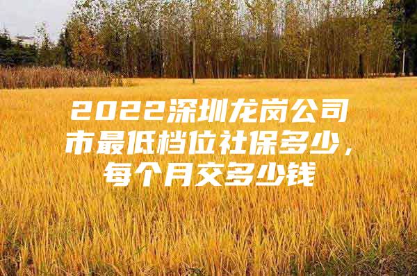 2022深圳龍崗公司市最低檔位社保多少，每個月交多少錢