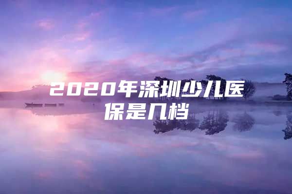 2020年深圳少兒醫(yī)保是幾檔